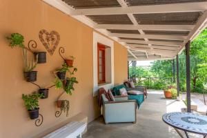 卡利茨多普Bella de Karoo的天井配有沙发和植物桌子