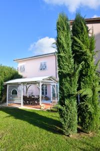 比萨Il Villino di Monic的房屋前的棕榈树
