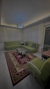 奥尔塔贾BVK1的客厅配有绿色沙发和地毯。