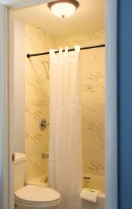 佛罗伦萨佛罗伦萨酒店及套房的一间带卫生间和淋浴帘的浴室