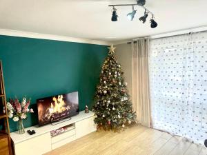 温莎Heart of Windsor的客厅里的圣诞树,配有电视