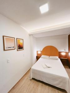 南圣弗朗西斯科Babitonga Hostel - 100m da Prainha的卧室配有一张白色大床和木制床头板