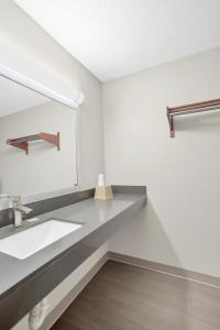 桥景镇Bridgeview Inn Chicago Area的一间带水槽和镜子的浴室