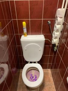 布达佩斯Carpe Noctem Hostel的浴室设有卫生间,内含紫色水