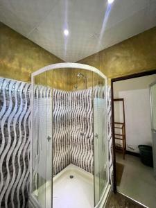 尼甘布尼干布西尔威斯特别墅旅舍的一间客房内的玻璃淋浴间