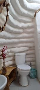 圣佩德罗·德·阿塔卡马DOMOS PUJLLAI San Pedro de Atacama的浴室设有卫生间和假墙