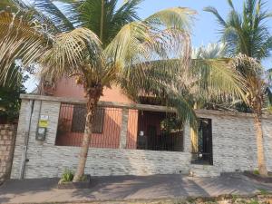 阿尔特杜尚Casa aconchegante em alter的两棵棕榈树的建筑