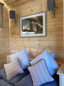 牛津Shepherd's Huts in Barley Meadow at Spring Hill Farm的客厅设有木墙和一张带枕头的沙发。
