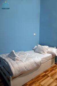 阿布辛贝Habib Camp的蓝色墙壁间的一张床位