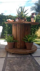 卡诺格布拉达奥托和卡林纳度假屋的一张木桌,上面有两株盆栽植物