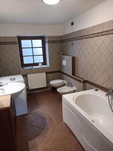 利维纳隆戈德尔科Appartamento Robert Arabba的带浴缸、卫生间和盥洗盆的浴室