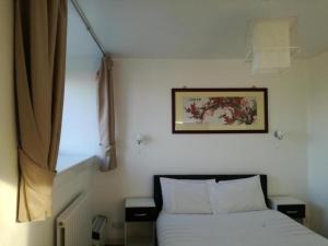 戴斯Ardenlea House Hotel B&b的卧室配有一张床,墙上挂着一幅画
