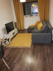 达德利Stunning 1-Bed Apartment in Brierley Hill的带沙发和电视的客厅