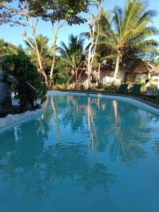 DzamandzarKintana Hotel SPA的一座拥有蓝色海水和棕榈树的游泳池