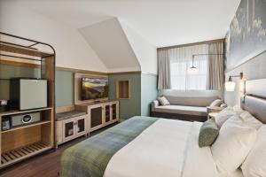 鸽子谷Dollywood's HeartSong Lodge & Resort的一间酒店客房,配有一张床和一台电视