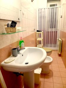 罗马梵蒂冈罗斯安蒂奇住宿加早餐旅馆的一间带水槽和卫生间的浴室