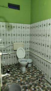 亨比Kiran River View Guest House的一间带卫生间和瓷砖墙的浴室