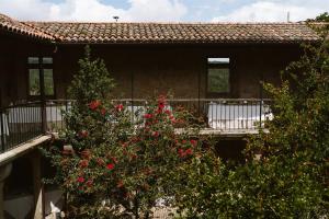 诺盖拉德拉姆阿尔玛利兹官员乡村酒店的前面有一棵红花树的房子