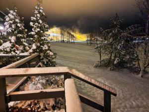 耶姆赛Villa Alppihimos - 6 henkilölle, Keski-Himos, 45m² + 33m²的雪覆盖的圣诞树和木栅栏