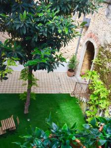 里斯本里斯本葡萄酒酒店的花园,两长椅和一棵树