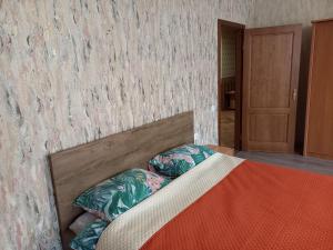 陶格夫匹尔斯Daugavpils City Centеr Apartment的一张床上有两个枕头的房间