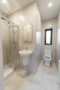 丁格尔Dingle Way Snug, Luxury apartment的浴室配有卫生间、盥洗盆和淋浴。