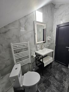 普洛耶什蒂PERFECT VILLA Ploiesti的一间带卫生间、水槽和镜子的浴室