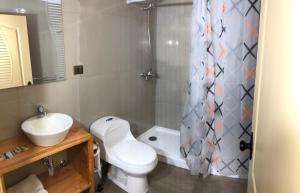 奥索尔诺mirabosque new aparments 2的浴室配有卫生间、盥洗盆和淋浴。