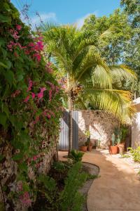 巴卡拉尔Casa Cactus Buenavista的种有棕榈树和粉红色花卉的花园