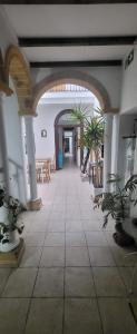 赫雷斯-德拉弗龙特拉凤凰旅馆的建筑中带有柱子和盆栽植物的走廊