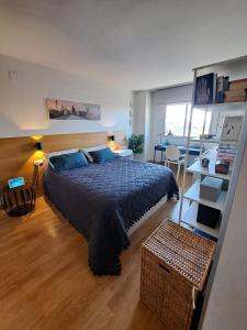 格拉纳达Gran apartamento familiar的一间卧室配有一张带蓝色枕头的大床