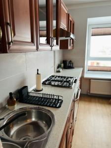 叶卡布皮尔斯Mežaparka apartamenti的厨房配有水槽和台面