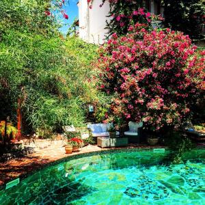 博德鲁姆艾莉维诺套房酒店的游泳池,种有粉红色的花卉和树木