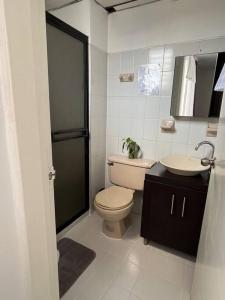 佩雷拉Cómodo apartamento en la Villa Olímpica de Pereira的白色的浴室设有卫生间和水槽。