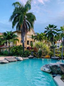 Cairns NorthLuxury 2 Bedroom apartment, Treetop views, Resort with 4 swimming pools的棕榈树度假村前的游泳池