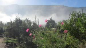 蒂尔卡拉La Calabaza Cabaña的山前有粉红色花的田野