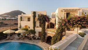 阿吉奥斯普罗科皮奥斯Proteas Hotel & Suites的享有带游泳池的房子的景色