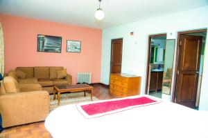 加德满都Holiday Home near Swayambhunath Stupa的客厅配有床和沙发