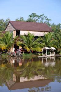 金瓯Bungalow - Farmstay Hoa Rừng U Minh的水体前有棕榈树的建筑