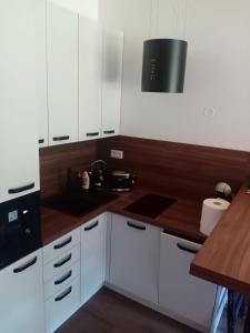 奥拉弗斯卡雷斯纳Villa Erdődy Resort的厨房配有白色橱柜和木制台面