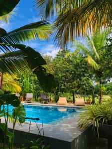 蒂瑟默哈拉默理查兹卡巴纳斯酒店的棕榈树度假村内的游泳池
