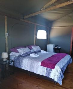 普利登堡湾Hillcrest Lodge Tents - Sandstone的一间卧室,卧室内配有一张大床