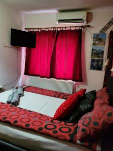 莱斯科瓦茨Vila Mala Evropa的一间卧室配有一张带红色枕头的床和一扇窗户