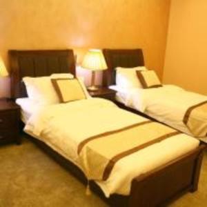 瓦迪穆萨七梦酒店的配有2盏灯的酒店客房的2张床