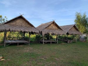 Ban Khao Ya Nuaลาน​กางเต๊นท์​ข้าวซอย​เขาค้อ​的草丛中三座带长椅的小屋