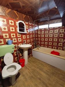 斯利那加Hb nancy group of houseboats的浴室配有卫生间、盥洗盆和浴缸。