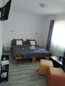 弗济内Sobe Sky的一间卧室配有一张床、一台电视和一张沙发
