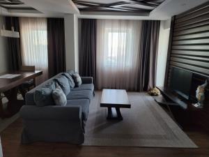 科帕奥尼克Noma Kopaonik的带沙发、桌子和电视的客厅