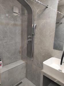 什切齐内克BR sc NR2-całe mieszkanie的带淋浴和盥洗盆的浴室