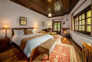 埃拉蒂特里卡隆基阿曼德斯酒店的一间带大床的卧室和一间客厅